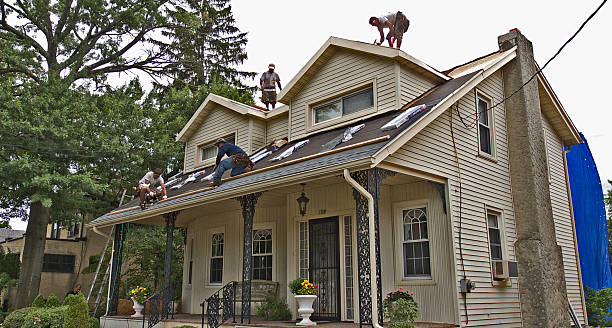 Best Storm Damage Roof Repair  in Rocky Mount, NC