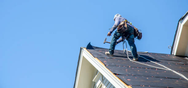 Best Roof Repair Services  in Rocky Mount, NC